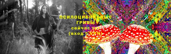 эйфоретик Пестово