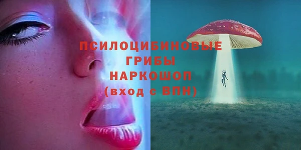 прущие крисы Пересвет