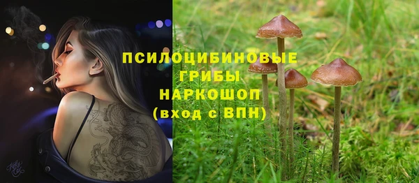эйфоретик Пестово